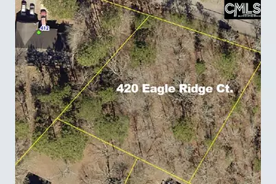 420 Eagle Ridge Court, Gaston, SC 29053 - Photo 1