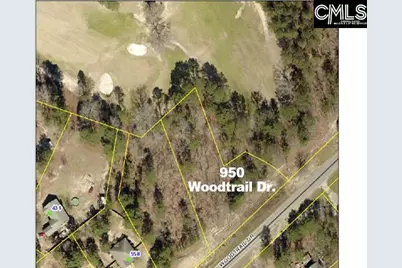 950 Woodtrail Drive, Gaston, SC 29053 - Photo 1