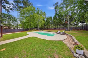 141 Forty Love Point, Chapin, SC 29036 - Photo 36