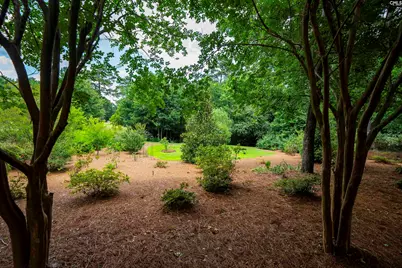 784 Coriander Road, Blythewood, SC 29016 - Photo 84