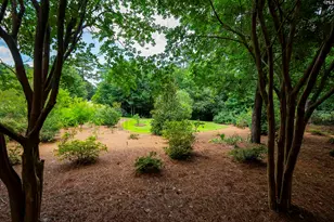 784 Coriander Rd, Blythewood, SC 29016 - Photo 84