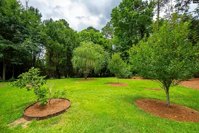 784 Coriander Road, Blythewood, SC 29016 - Photo 82