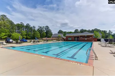 641 Timberlake Drive, Chapin, SC 29036 - Photo 70