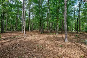 8 Cedar Pl, Camden, SC 29020 - Photo 46