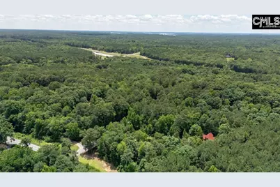 100 Seven Drive, Chapin, SC 29036 - Photo 48