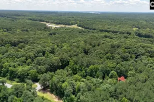100 Seven Dr, Chapin, SC 29036 - Photo 48