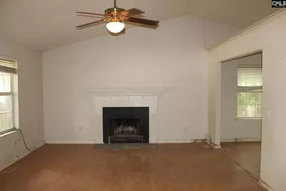 14 Holliston Court, Chapin, SC 29036 - Photo 8