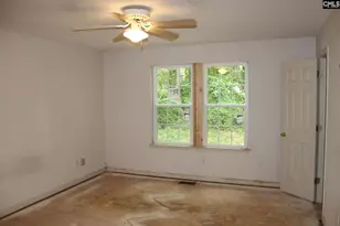 14 Holliston Ct, Chapin, SC 29036 - Photo 12