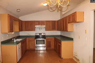 14 Holliston Court, Chapin, SC 29036 - Photo 10