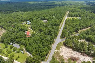 3904 Calks Ferry Rd, Pelion, SC 29123 - Photo 42