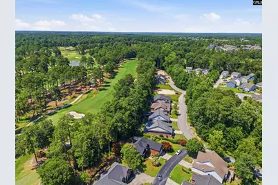 102 Pinewood Cottage Lane, Blythewood, SC 29016 - Photo 6