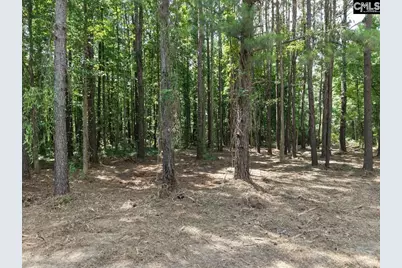 0 Peace Lane, Bowman, SC 29018 - Photo 10