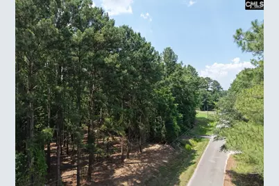 0 Peace Lane, Bowman, SC 29018 - Photo 4
