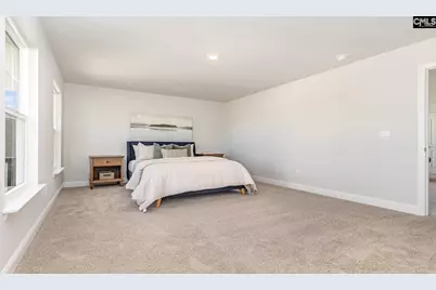 251 Livingston Woods Drive, Irmo, SC 29063 - Photo 34