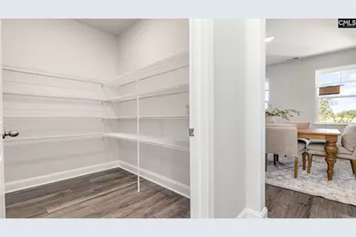 251 Livingston Woods Drive, Irmo, SC 29063 - Photo 14
