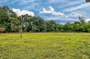 172 Eugene Neese Ln, Swansea, SC 29160 - Photo 50