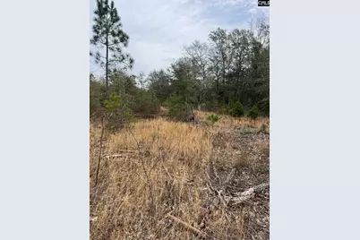 Whl 7 Rainbow Drive Whl 7, Salley, SC 29137 - Photo 6