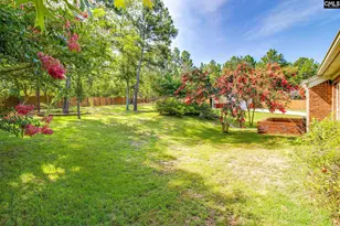 364 Church View Loop, Lexington, SC 29073 - Photo 10
