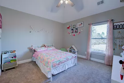 334 Glenn Village Circle, Blythewood, SC 29016 - Photo 22