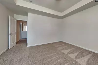 51 Blue Fescue Way, Columbia, SC 29209 - Photo 6