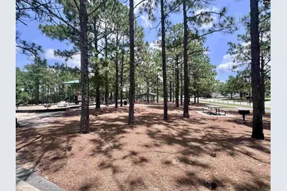 216 Elders Pond Drive, Columbia, SC 29229 - Photo 52