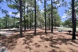 216 Elders Pond Dr, Columbia, SC 29229 - Photo 52