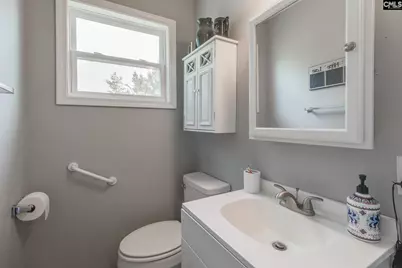 860 Misty Harbor Road, Chapin, SC 29036 - Photo 26