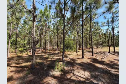 Hrf 6 Holstein Road #HRF 6, Wagener, SC 29164 - Photo 6