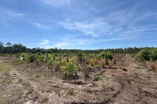 Hrf 6 Holstein Rd, Wagener, SC 29164 - Photo 1