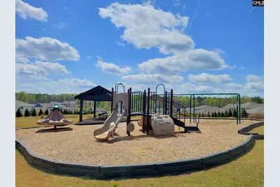542 Carters Grove Lane, Blythewood, SC 29016 - Photo 4