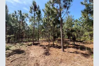 Hrf 7 Holstein Road #HRF 7, Wagener, SC 29164 - Photo 8