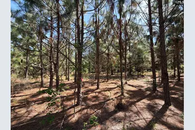 Hrf 8 Holstein Road #HRF 8, Wagener, SC 29164 - Photo 2