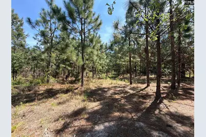 Hrf 8 Holstein Road #HRF 8, Wagener, SC 29164 - Photo 4