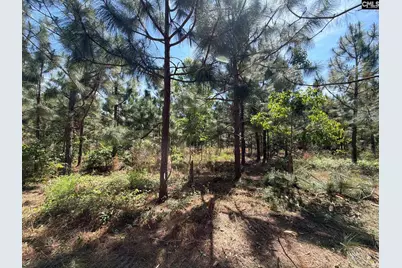 Hrf 8 Holstein Road #HRF 8, Wagener, SC 29164 - Photo 6