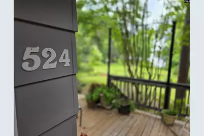 524 Lakemont Drive, Chapin, SC 29036 - Photo 62