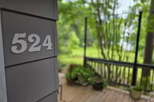 524 Lakemont Dr, Chapin, SC 29036 - Photo 62
