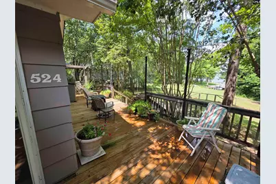 524 Lakemont Drive, Chapin, SC 29036 - Photo 22
