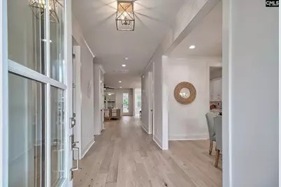 820 Elms Spinney Lane, Chapin, SC 29036 - Photo 4