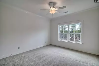 820 Elms Spinney Lane, Chapin, SC 29036 - Photo 32