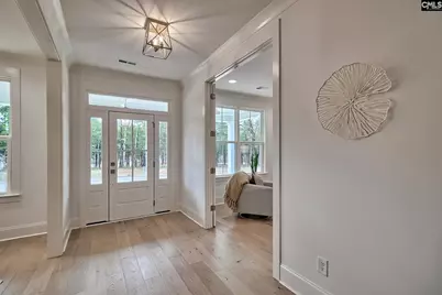 820 Elms Spinney Lane, Chapin, SC 29036 - Photo 6