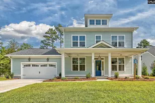 820 Elms Spinney Ln, Chapin, SC 29036 - Photo 1