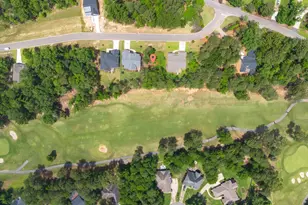 521 Misty Banks Dr, Chapin, SC 29036 - Photo 6