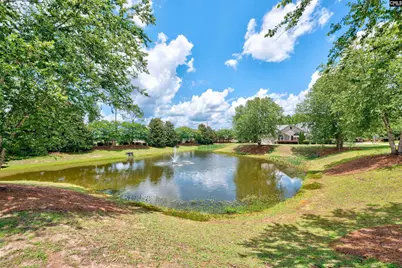125 Peach Grove Circle, Elgin, SC 29045 - Photo 34