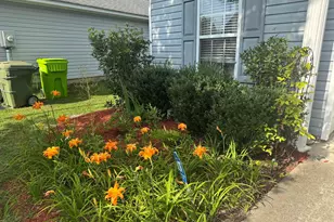 843 Killian Station Dr, Columbia, SC 29229 - Photo 2