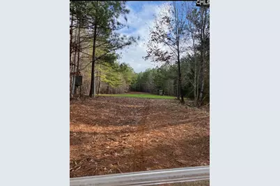 1579 Rockton Thruway Road, Winnsboro, SC 29180 - Photo 58