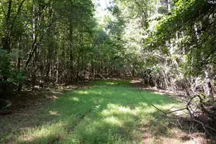 1579 Rockton Thruway Rd, Winnsboro, SC 29180 - Photo 46