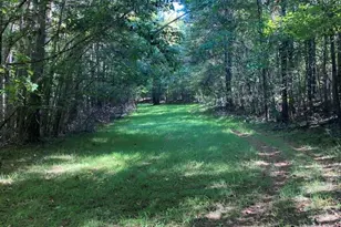 1579 Rockton Thruway Rd, Winnsboro, SC 29180 - Photo 60