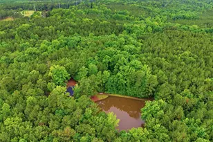 1579 Rockton Thruway Rd, Winnsboro, SC 29180 - Photo 42