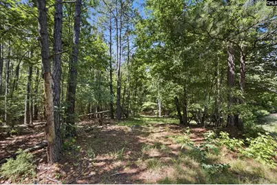 1579 Rockton Thruway Road, Winnsboro, SC 29180 - Photo 44