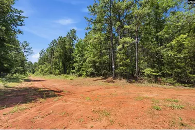 1579 Rockton Thruway Road, Winnsboro, SC 29180 - Photo 38
